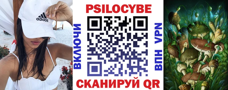 Галлюциногенные грибы GOLDEN TEACHER  сколько стоит  Ядрин 